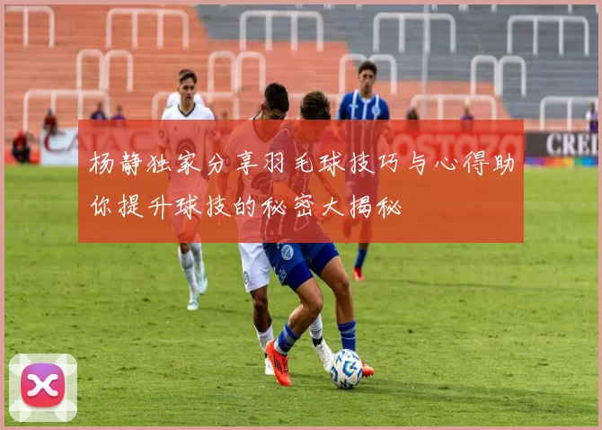 杨静独家分享羽毛球技巧与心得助你提升球技的秘密大揭秘