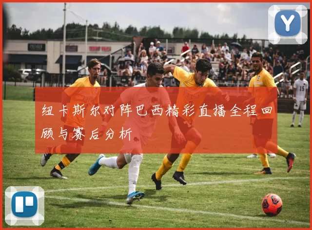 纽卡斯尔对阵巴西精彩直播全程回顾与赛后分析