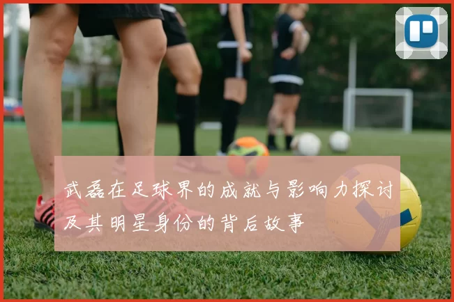 武磊在足球界的成就与影响力探讨及其明星身份的背后故事